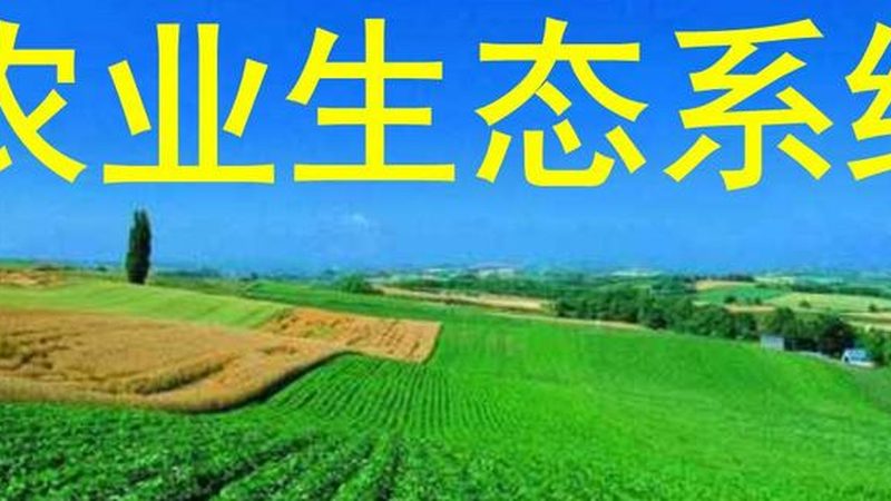 农业文旅项目策划书：如何打造特色农业旅游新亮点**