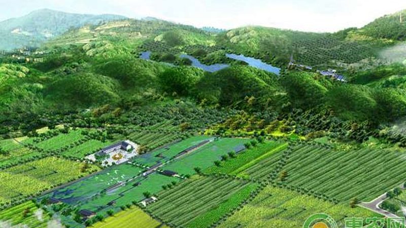 生鲜配送：城市居民的便捷之选
