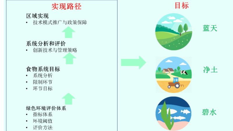 农业产业园土地流转招标，流程详解与关键要点**