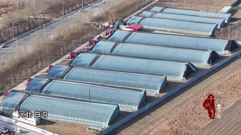 温室土壤湿度控制参数标准解析