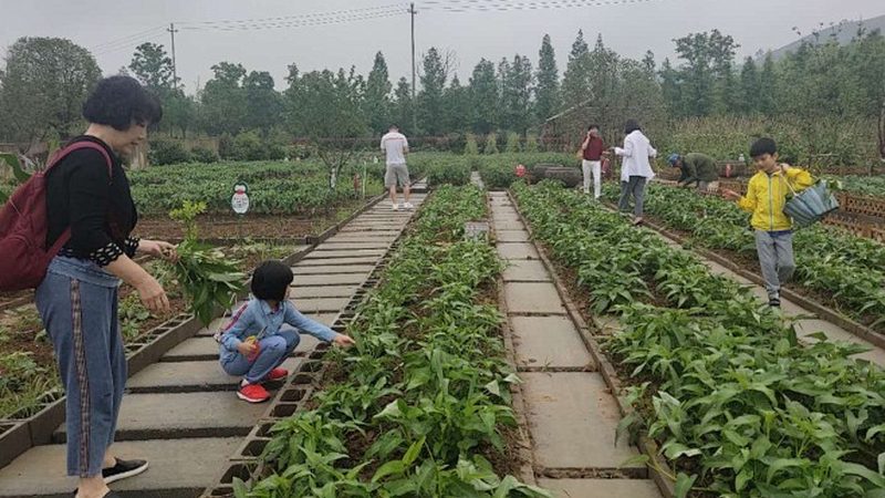 提交注册申请：携带以下材料向当地工商行政管理部门提交注册申请：