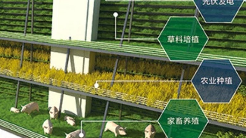 农业产业园基础设施预算编制：关键步骤与注意事项**