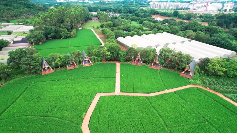 果蔬配送公司定制方案：揭秘定制背后的逻辑与价值