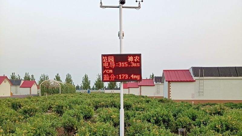 合作社财务管理制度范本：构建透明高效的管理框架