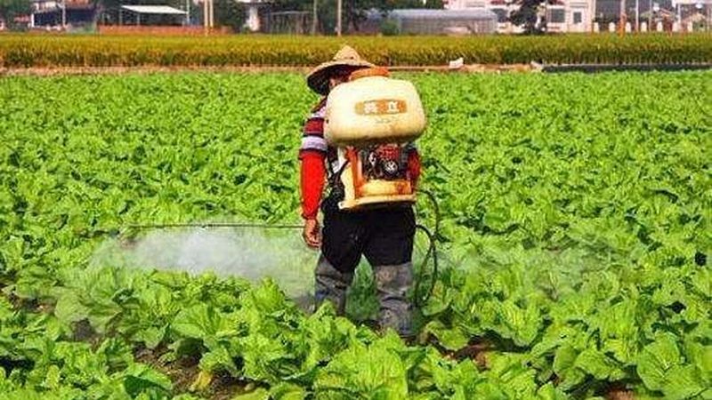农产品配送合同里的几个关键条款，签前务必看清