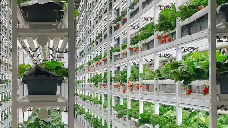 昆明农业种植技术培训学校排名：如何选择适合自己的培训课程